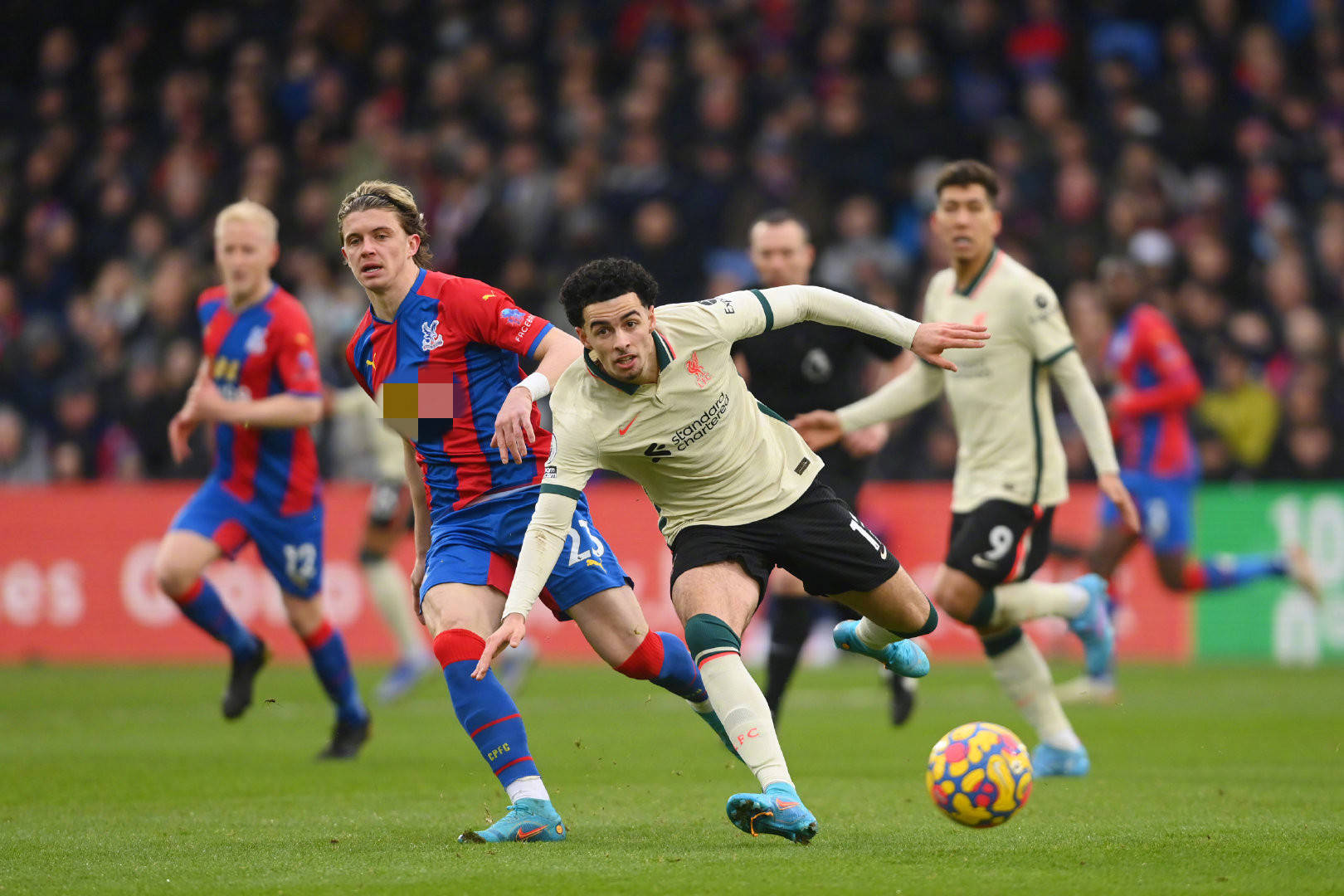 典的学习范 典的学习范