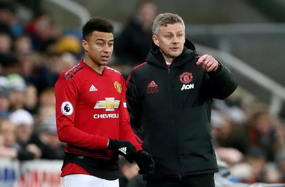 这一合作背 这一合作背